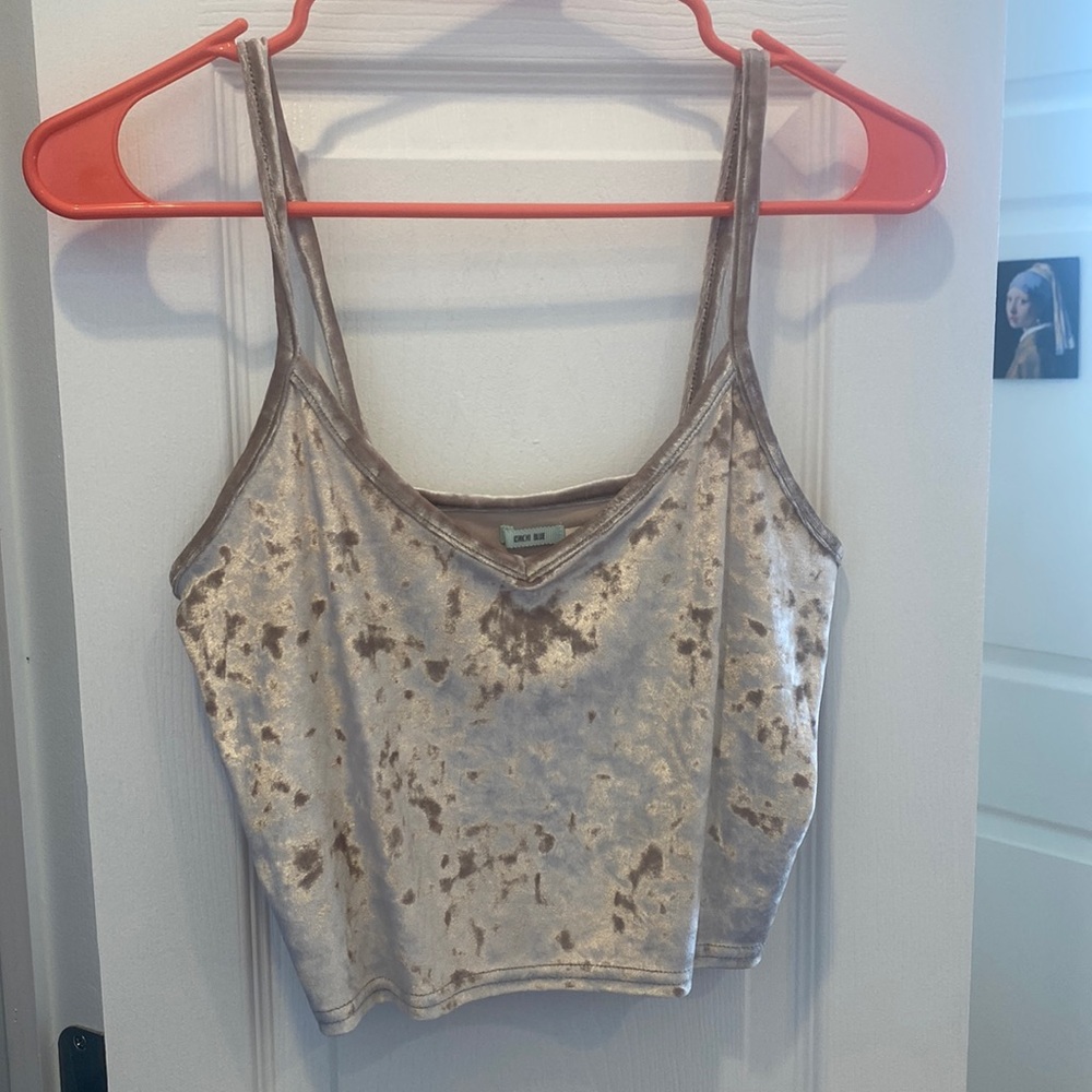 Urban outfitters silvery velvet crop top